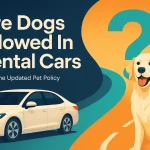 are dogs allowed in rental cars