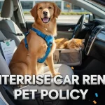 enterprise car rental policy